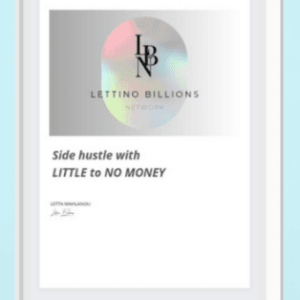 Side hustle with LITTLE to NO MONEY eBook